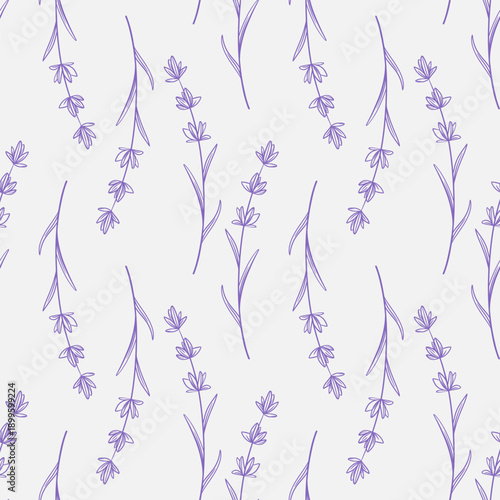 Purple Provencal wildflowers seamless pattern. Background with blooming lavender stems. Rustic print for textiles, packaging, covers and design, vector graphics