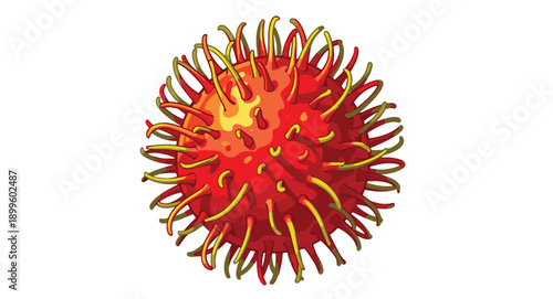 Minimalist white background with beautiful large pomegranate illustrations, dragon fruit slices, citrus fruits, strawberries, pineapples and very clean modern fruit design
