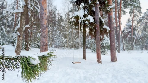 Snowfall on a frosty winter day in the forest