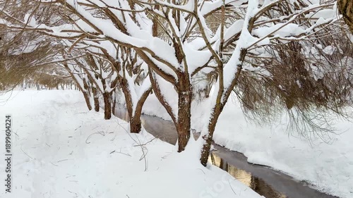 Snowfall on a frosty winter day in the forest