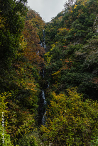 Foto 日本　広島県三次市作木町にある常清滝と紅葉した木々