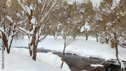 Snowfall on a frosty winter day in the forest