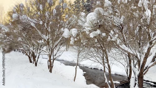 Snowfall on a frosty winter day in the forest