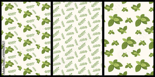 Set of seamless herb patterns with basil and rosemary in minimal flat botanical style