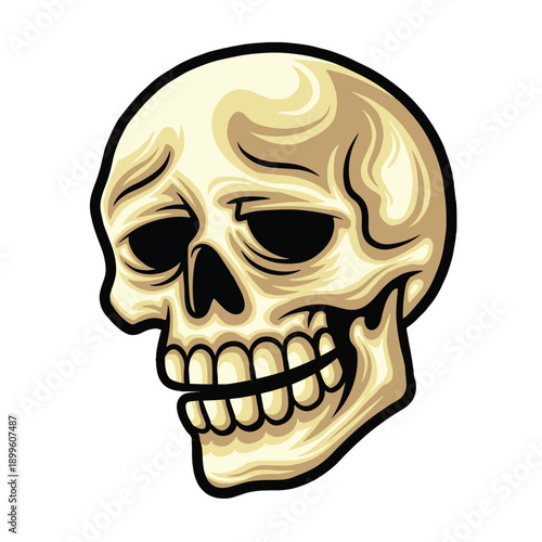 High quality colored vector illustration of a cartoon skull concept logo with a tired, listless expression.