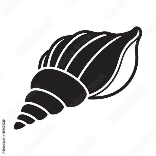 Black silhouette of various seashell on white background