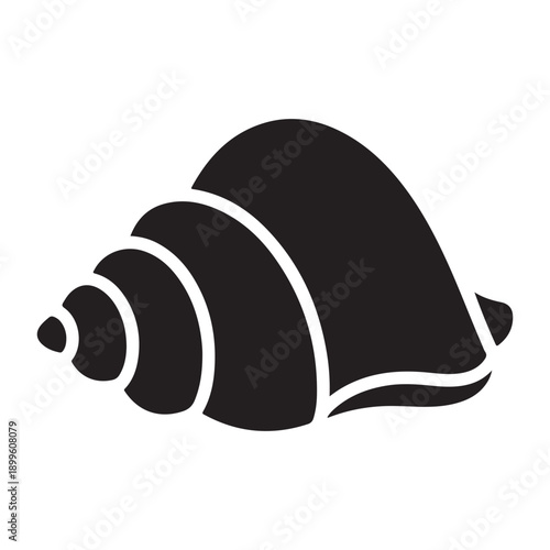 Black silhouette of various seashell on white background