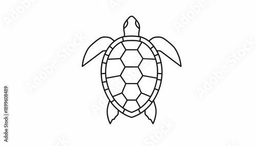 Turtle Silhouette Outline Illustration - Simple Line Drawing of a Sea Turtle