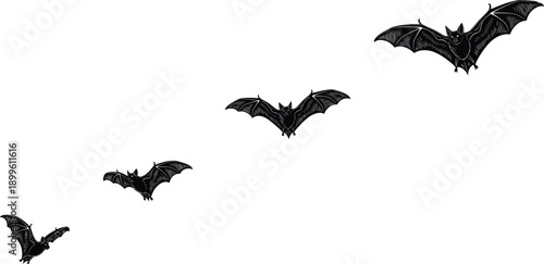 Black Bat Silhouette Set with Flying Vampire Bats Spooky Halloween Creatures and Nocturnal Animals cad drawing flat vector illustration for Design