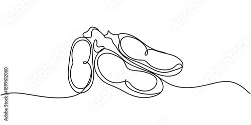 Fava beans simple color vector illustration. One continuous line art drawing with lettering organic fava beans, Vector illustration of peas isolated on white background. Black and White for coloring.