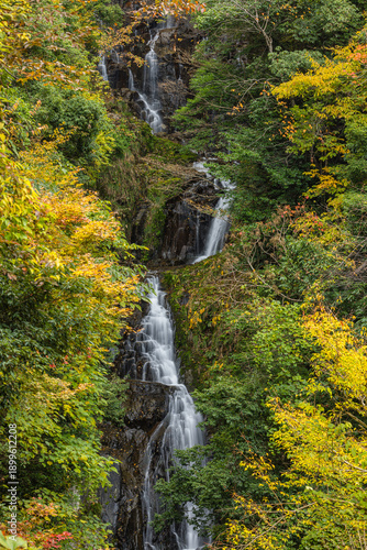 Quadro su tela 日本　広島県三次市作木町にある常清滝と紅葉した木々
