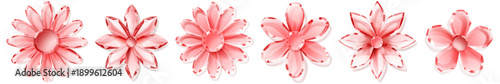Set of pink crystal flowers with soft shadows on white background, resembling precious gems.