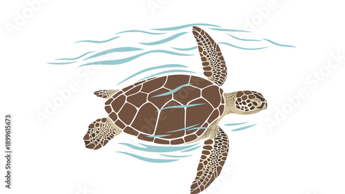 Top view illustration of a large sea turtle swimming gracefully through clear blue water with gentle waves surrounding its detailed shell and flippers.