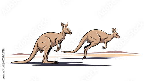 Two kangaroos in a dry desert landscape with one standing alert and the other hopping across the sandy ground under the hot sun.