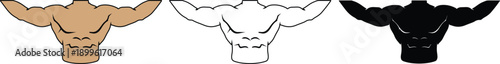 Upper Body Muscle Torso Vector Illustration Set