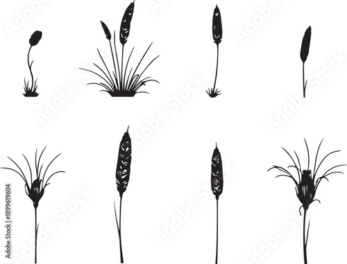  Set of black silhouettes of various plants