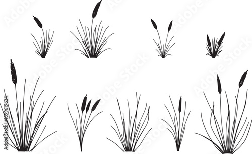  Set of black silhouettes of various plants