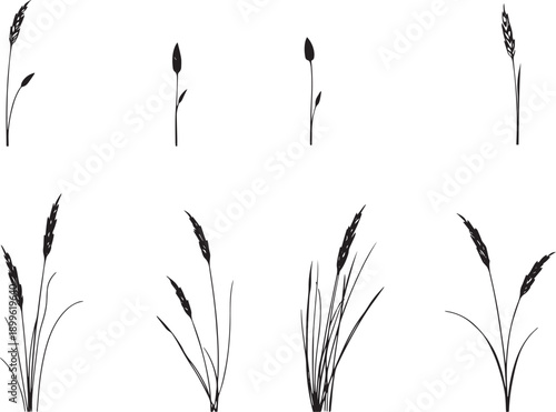  Set of black silhouettes of various plants