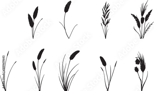  Set of black silhouettes of various plants