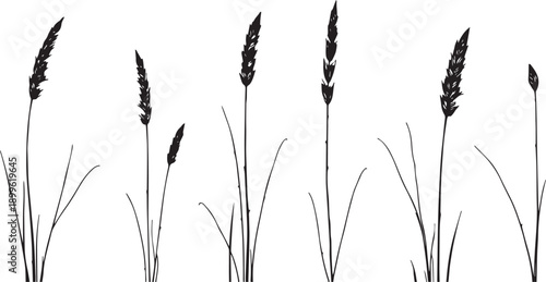  Set of black silhouettes of various plants