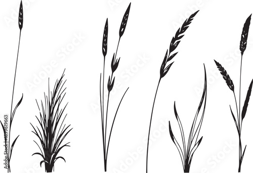  Set of black silhouettes of various plants