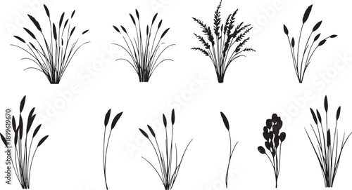  Set of black silhouettes of various plants