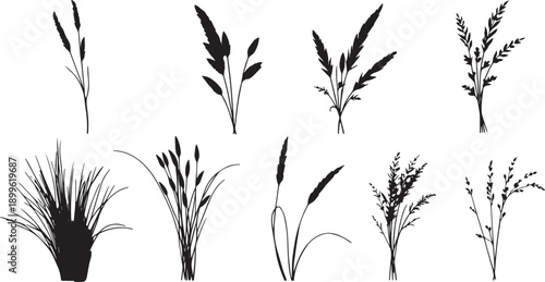  Set of black silhouettes of various plants