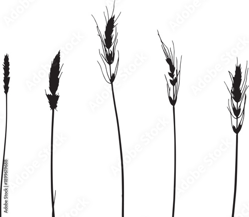  Set of black silhouettes of various plants