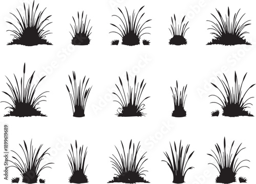  Set of black silhouettes of various plants