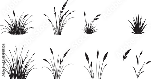  Set of black silhouettes of various plants