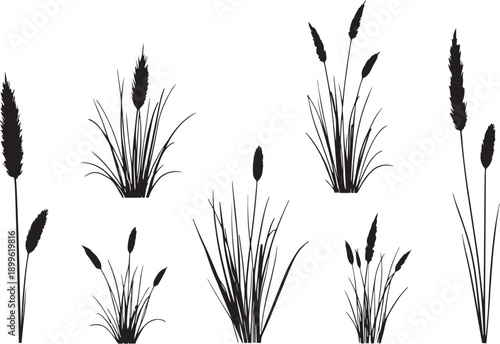  Set of black silhouettes of various plants
