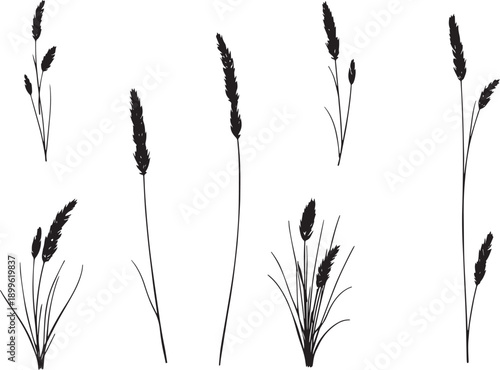  Set of black silhouettes of various plants