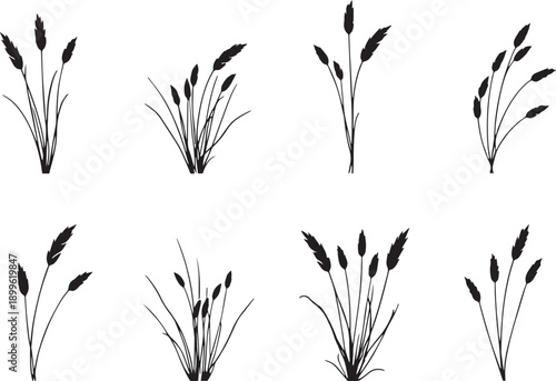  Set of black silhouettes of various plants