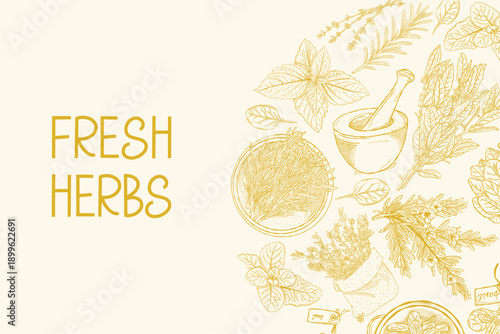 Fresh herbs botanical illustration with vintage hand drawn plants on light background