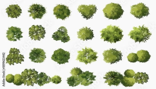 set of green leaves isolated