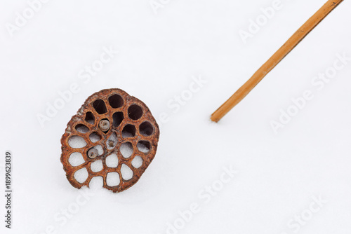 Zen garden of nature: Dried lotus stalks on fresh winter snow
