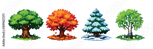 Four trees illustrating seasons: spring, summer, autumn, winter with vivid colors and details