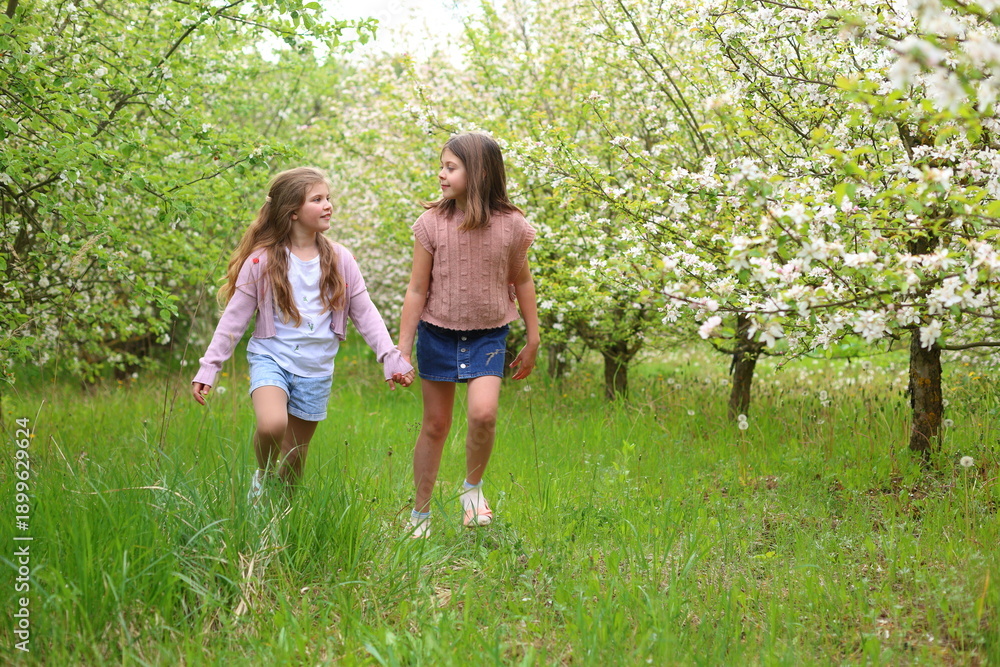Fototapeta premium Two girls walk hand-in-hand through a sunlit orchard in full bloom, smiling, grassy path, white blossoms, embodying spring joy, sisterhood, and gentle connection with nature.
