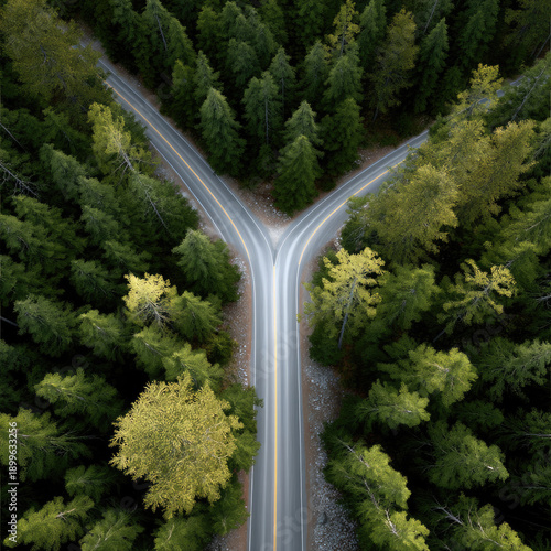 Two roads merge into one through dense green forest, aerial view, peaceful natural landscape, intersection, travel concept