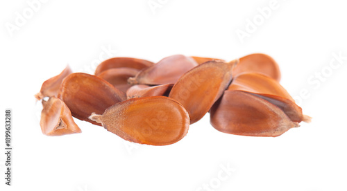 Beechnuts seeds isolated on white background. European beech nuts or Fagus sylvatica. Clipping path.