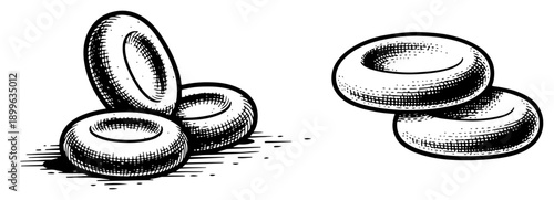 Scientific illustration of red blood cells in a classic black and white woodcut engraving style