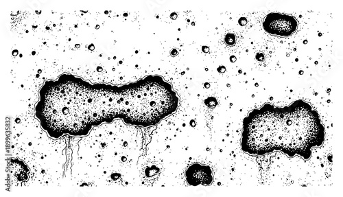 Microscopic organic black and white texture featuring bacterial cells and porous surface details