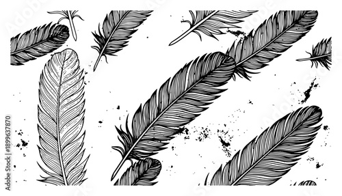 Detailed bird feathers pattern in black and white vintage engraving style