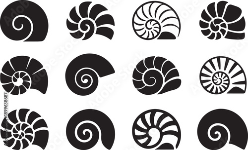 Collection of nautilus shell spiral shapes in black and white