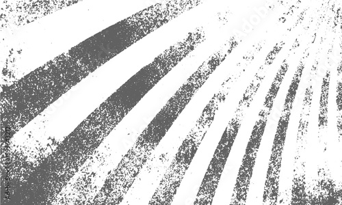 Natural white timber texture background with space
White rustic wood texture clean abstract background