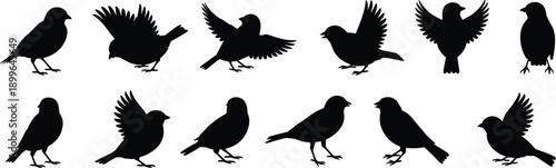 Bird silhouette collection with flying and perched small birds as black wildlife nature icon set isolated on white
