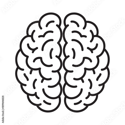 A detailed line drawing depicts a human brain showcasing its convoluted surface