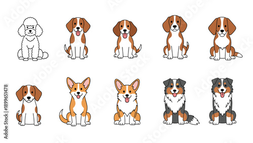 Large grid of various cute dog breed illustrations showing puppies like beagles corgis and poodles sitting obediently in a neat row formation.