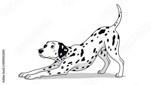 Hand drawn illustration of a dalmatian dog with black spots in a stretching play bow pose on a white background with a soft shadow.