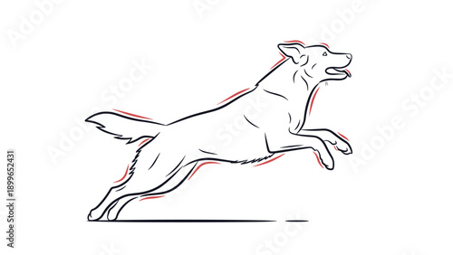 Dynamic line drawing of a dog in full gallop with red accent lines to show movement and speed captured in a minimalist sketch style for pet ads.